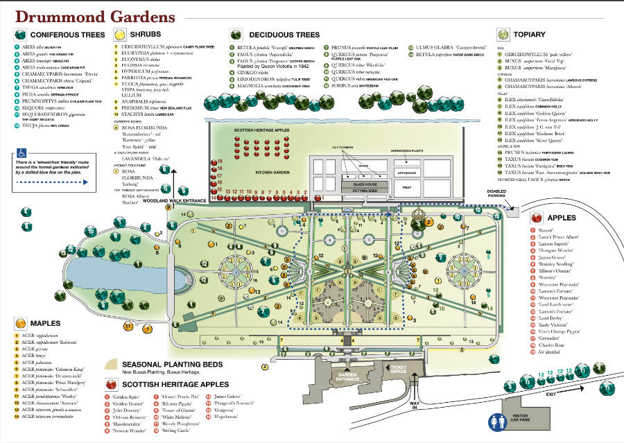 A screenshot of the garden plan.